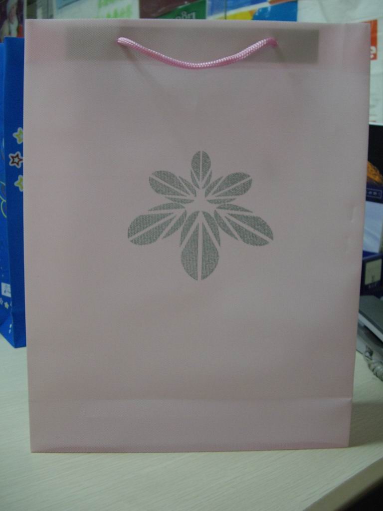 TOWB013 non-woven Bag